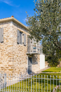 Messinian Stone House - House, garden & olive tree view